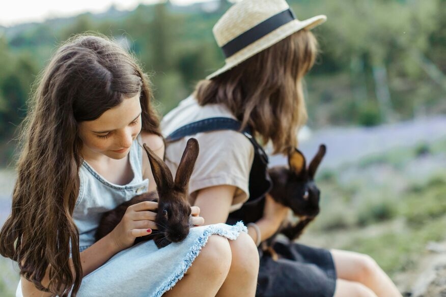 How to Tell Your Rabbit You Love Them